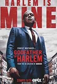Godfather of Harlem streaming - guardaserie